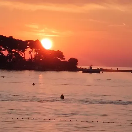 Exodus * Poreč