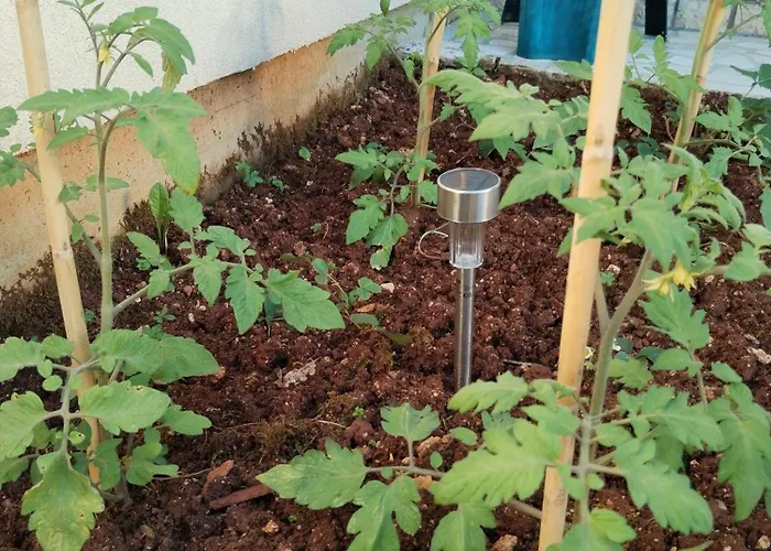 Exodus Apartamento Poreč