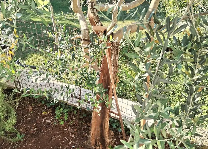 Exodus Apartamento *